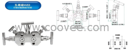仪表阀组五阀组VG5