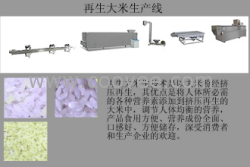 再生大米生产设备膨化机械膨化机