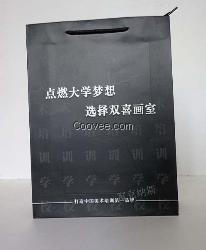 手提礼品袋定制,长沙纸质礼品袋