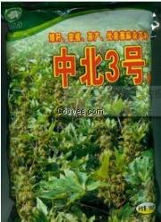 精品推荐蓖麻5号蓖麻种子