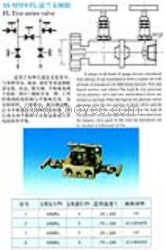 SS-M5F8-FL法兰五阀组