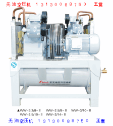 雙主機(jī)式無(wú)油空壓機(jī)