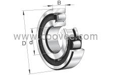 20213-TVP轴承-FAG 鼓形滚子轴承