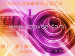 自鎖圓螺母