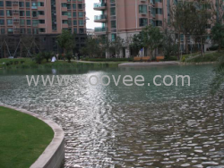 景觀水設(shè)備/景觀湖水處理/公園觀賞水會(huì)處理設(shè)備/水殺菌消毒設(shè)備