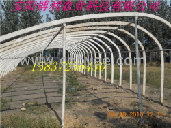 養(yǎng)殖大棚支架，溫室大棚支架機