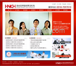海納品牌設計網站案例