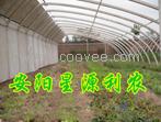 新型防水大棚支架機