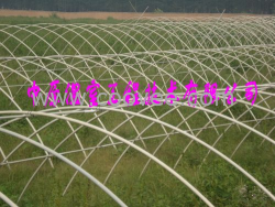 無支柱拱棚 蔬菜大棚支架 鋼管鍍塑大棚骨架