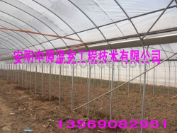 蔬菜大棚骨架 防水鋼架大棚支架 中原溫室工程