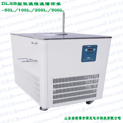 DLSB型-50L100L低温恒温循环泵