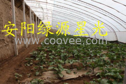 海參養殖大棚骨架 安陽綠源星光