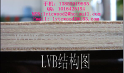 全楊木家具用多層板，漂白楊木LVB家具板