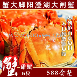 陽(yáng)澄湖大閘蟹 大閘蟹特征-蟹大腳