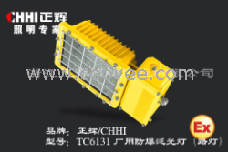 厂用防爆泛光灯