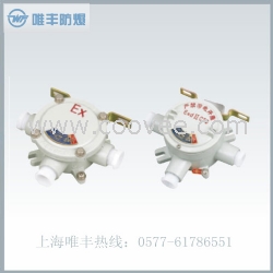 AH系列防爆吊燈盒 鑄鋁/碳鋼
