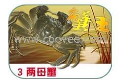 陽澄湖大閘蟹3兩母蟹