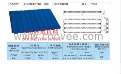 质优900塑料网带