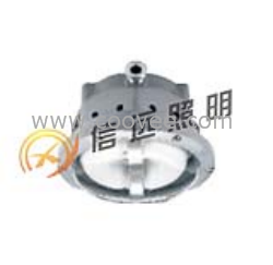 NFC9176 長壽頂燈