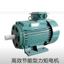 YLJ三相力矩電機(jī)以及控制器