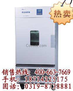 BD 240生化培養(yǎng)箱