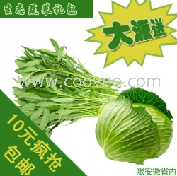 生態(tài)蔬菜禮包新鮮采摘限量派送