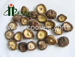 供應黑面菇廠家直銷