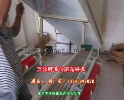 沙糖桔選果機
