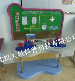 供應(yīng)教學(xué)科普儀器生物質(zhì)能展館科普器材