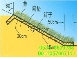 金華三維植被網，邊坡綠化