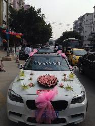 諮詢熱線:13570428784李小姐 qq:328089365 花車出租,結婚花車出租