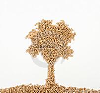 武漢生物質(zhì)燃料廠家_武漢生物質(zhì)顆粒燃料