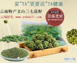 三七 云南文山特级原生态三七