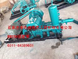 BW250泵、250泥漿泵、