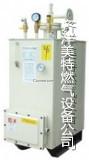 管道結(jié)冰結(jié)霜用中邦50公斤電熱式氣化器