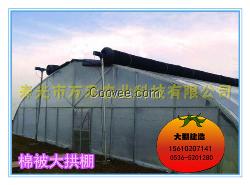 拱棚|棉被大拱棚|冬暖拱棚
