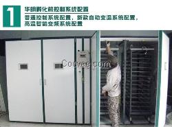 華明大型孵化機微電腦智能孵化機